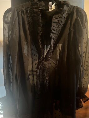 ASOS Black Sheer Ruffle Tie-Neck Blouse